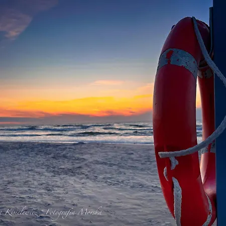 Domki Maryla - Komfort I Cisza Przy Lesie ホームステイ オストロボ