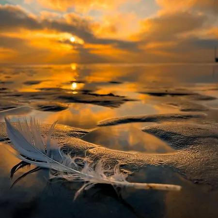 Domki Maryla - Komfort I Cisza Przy Lesie * オストロボ