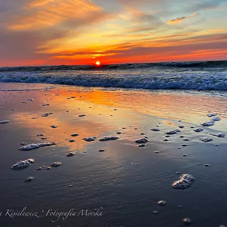 Domki Maryla - Komfort I Cisza Przy Lesie