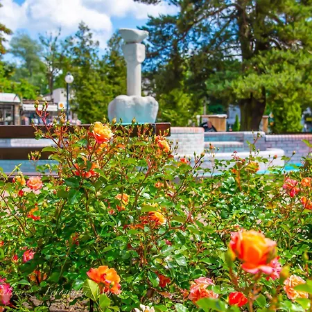 Maryla - Komfort I Cisza Przy Lesie Kwatera prywatna