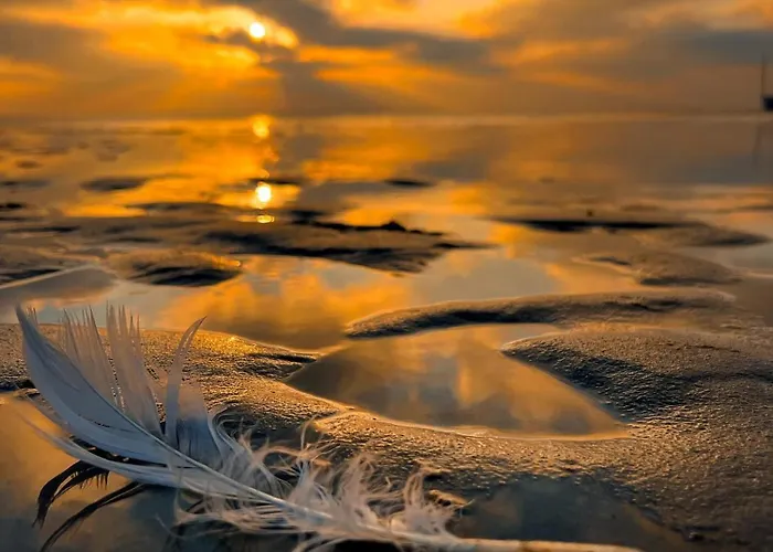 Maryla - Komfort I Cisza Przy Lesie * Ostrowo