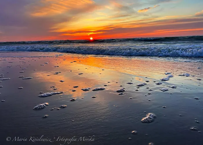 Maryla - Komfort I Cisza Przy Lesie